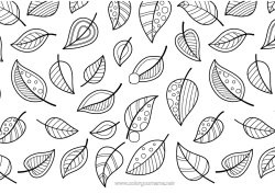 Página de desenho personalizável Folhas Nome decorado Zentangle Fundo decorativo
