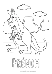 Coloriage personnalisable Animal Australie Autres animaux du monde Kangourou Famille d'animaux Bébé animal Animaux d’Australie