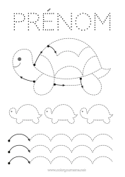 Coloriage personnalisable Tortue Activités enfants Animal Trace et colorie Animaux marins ou aquatique Reptiles Tortue terrestre Fiche de graphisme maternelle