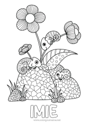 Rysunek za darmo Kwiaty Lato Zwierzę Kolorowanki pośrednie Kameleon Gady Hibiskus
