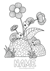 Free colouring Flowers Summer Animal Intermediate colouring sheets Chameleon Reptiles Hibiscus