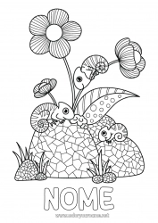 Desenho grátis Flores Verão Animal Colorações Intermediárias Camaleão Répteis Hibisco