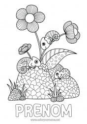 Coloriage gratuit Fleurs Été Animal Coloriages intermédiaires Caméléon Reptiles Hibiscus