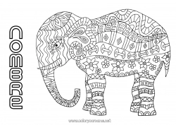 Colorear gratis Mandala Elefante Animales Animales de granja Animales salvajes de África