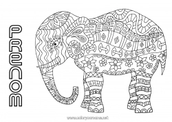 Dessin gratuit Mandala élephant Animal Animaux de la ferme Animaux sauvages d'Afrique