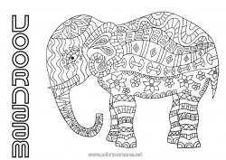 Gratis tekening Mandala Olifant Dier Boerderijdieren Wilde dieren van Afrika