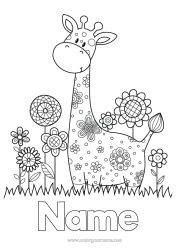 Free colouring Flowers Giraffe Spring Animal Wild animals of Africa