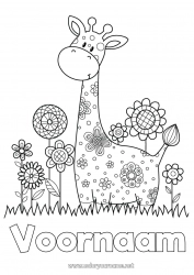 Gratis tekening Bloemen Giraffe Lente Dier Wilde dieren van Afrika