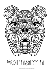Gratis färgläggning Mandala Hund Djur Hundar och katter