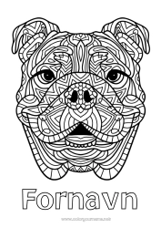 Gratis fargelegging Mandala Hund Dyr Hunder og katter