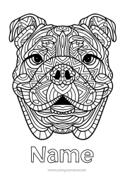 Free colouring Mandala Dog Animal Dogs and cats