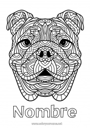 Dibujo libre Mandala Perro Animales Perros y gatos