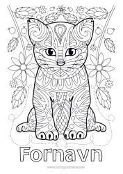 Gratis tegning Søt Blomster Katt Mandala Dyr Hunder og katter