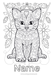 Free colouring Cute Flowers Cat Mandala Animal Dogs and cats