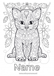 Free drawing Cute Flowers Cat Mandala Animal Dog and cat