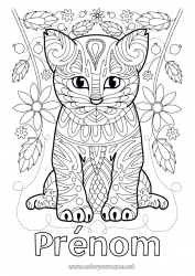 Coloriage gratuit Mignon Fleurs Chat Mandala Animal Chiens et chats