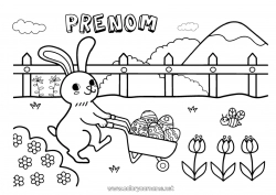 Dessin gratuit Lapin Animal Oeufs de Pâques Pâques Animaux de la forêt