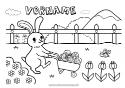 Kostenlose Malvorlage Hase Tier Ostereier Ostern Waldtiere