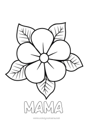 Kolorowanka dla dziecka Kwiaty Mama Babcia Wszystkiego najlepszego! Łatwe kolorowanki Hibiskus