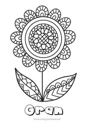 Free colouring Flowers Mandala Happy birthday Spring Intermediate colouring sheets