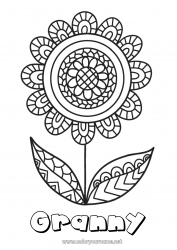 Child coloring page Flowers Mandala Happy feast day ! Spring Intermediate coloring pages