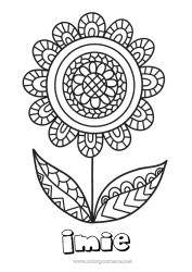 Kolorowanka do personalizacji Kwiaty Mandala Wszystkiego najlepszego! Wiosna Kolorowanki pośrednie