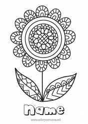 Free coloring Flowers Mandala Happy feast day ! Spring Intermediate coloring pages