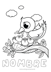Colorear para personalizar Pájaro Primavera Animales Aves y mamíferos voladores Nido de pájaro Bebé animal
