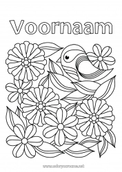 Gratis tekening Bloemen Vogel Lente Dier Vogels en vliegende zoogdieren