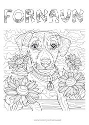 Fargeleggingssiden å tilpasse Blomster Hund Dyr Komplekse fargelegginger Hunder og katter