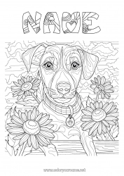 Free coloring Flowers Dog Animal Complex coloring pages Dog and cat