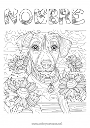 Dibujo libre Flores Perro Animales Dibujos complejos para colorear Perros y gatos