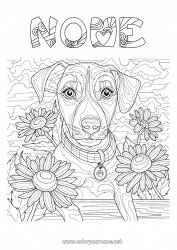 Desenho grátis Flores Cachorro Animal Colorações Complexas Cães e gatos