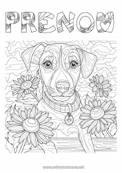 Coloriage gratuit Fleurs Chien Animal Coloriages complexes Chiens et chats