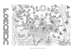 Gratis fargelegging Blomster Mandala Fugl Vår Sommerfugl Dyr Insekter Fugler og flygende pattedyr