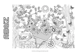 Free drawing Flowers Mandala Bird Spring Butterfly Animal Insects Flying birds and mammals