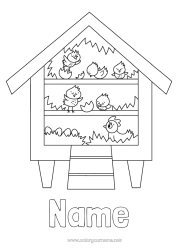 Colouring to customise Hen Chick Animal Farm House Farm Animals