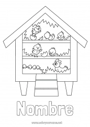 Colorear para personalizar Gallina Pollito Animales Granja Casa Animales de granja