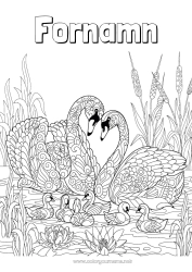 Gratis färgläggning Mandala Fågel Djur Svan Fåglar och flygande däggdjur