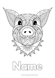 Free colouring Mandala Pig Animal Chinese New Year Farm animals