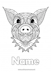 Free coloring Mandala Pig Chinese New Year Farm animals