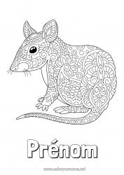 Coloriage à personnaliser Mandala Animal Nouvel An chinois Rat Animaux de la forêt