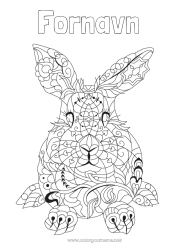 Gratis tegning Mandala Kanin Dyr Kinesisk nytår Skovens dyr