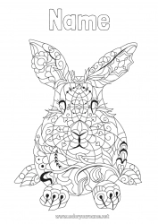 Free coloring Mandala Bunny Animal Chinese New Year Forest animals