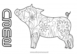 Free drawing Flowers Mandala Pig Spring Animal Chinese New Year Farm Farm animals