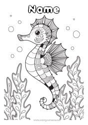 Free colouring Mandala Animal Seahorse Marine or aquatic animals