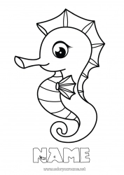 Free drawing Sea Animal Seahorse Marine or aquatic animals