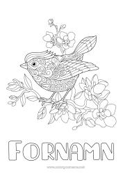 Gratis färgläggning Blommor Mandala Fågel Vår Djur Fåglar och flygande däggdjur