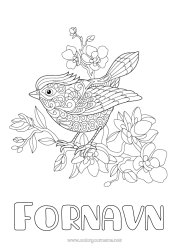 Gratis farvelægning Blomster Mandala Fugl Forår Dyr Fugle og flyvende pattedyr
