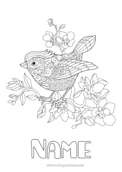 Free coloring Flowers Mandala Bird Spring Animal Flying birds and mammals